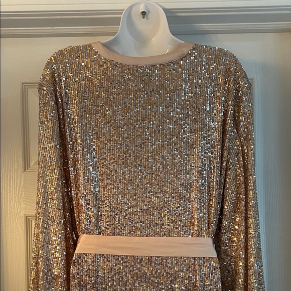 Scoop Rose Gold Sequin Dress - Picture 4 of 5